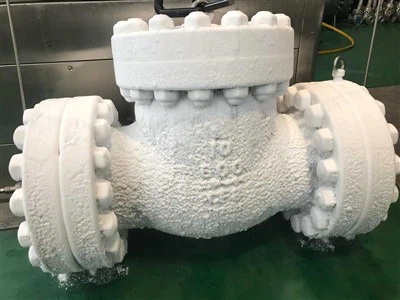 Kriogenni tekshirish valfi